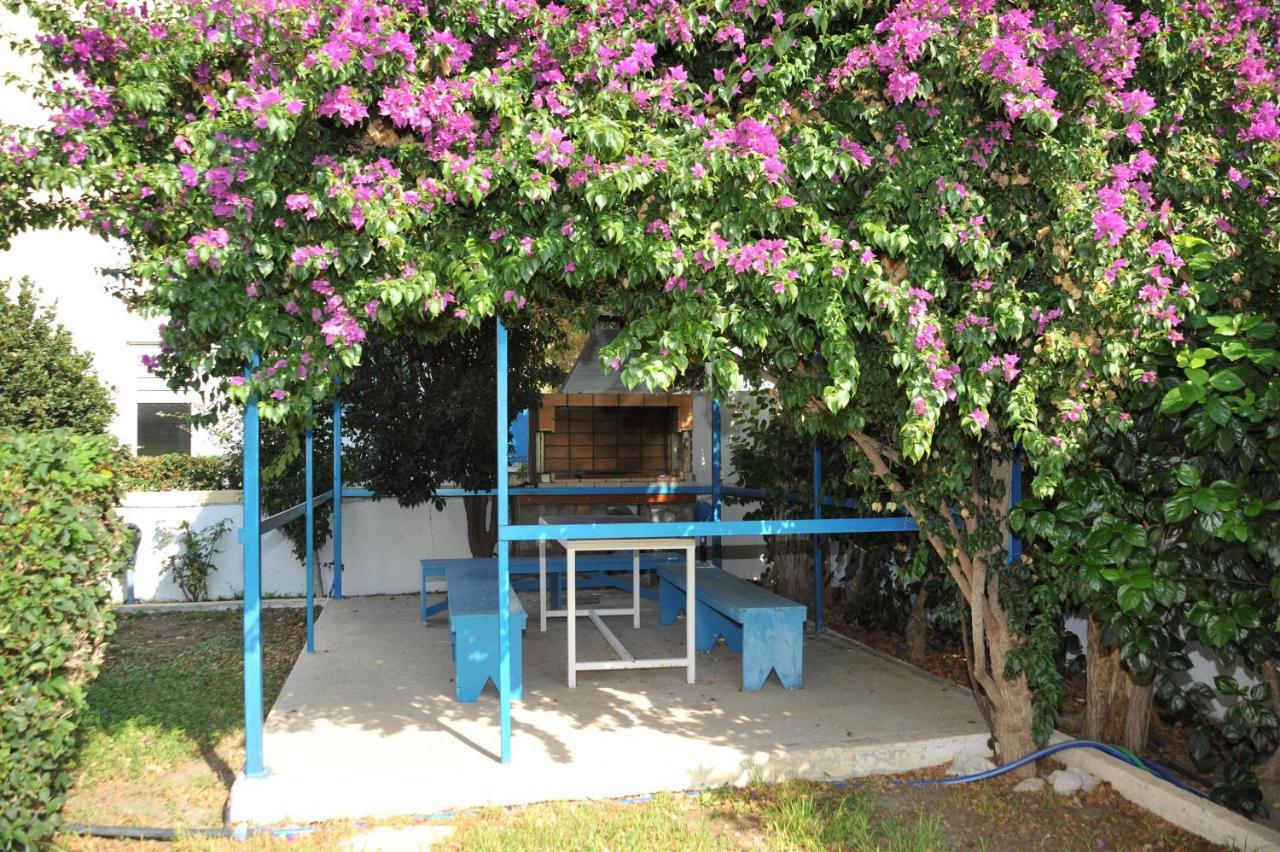 Litsas Studios Fánai Dış mekan fotoğraf